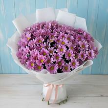 Букет цветов из:  Хризантемы в Старой Меловой