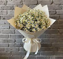 Букет цветов из:  Ромашки в Старой Меловой
